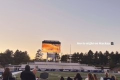 2E267C8F-098C-4E7C-B450-397B4B3A2CF2